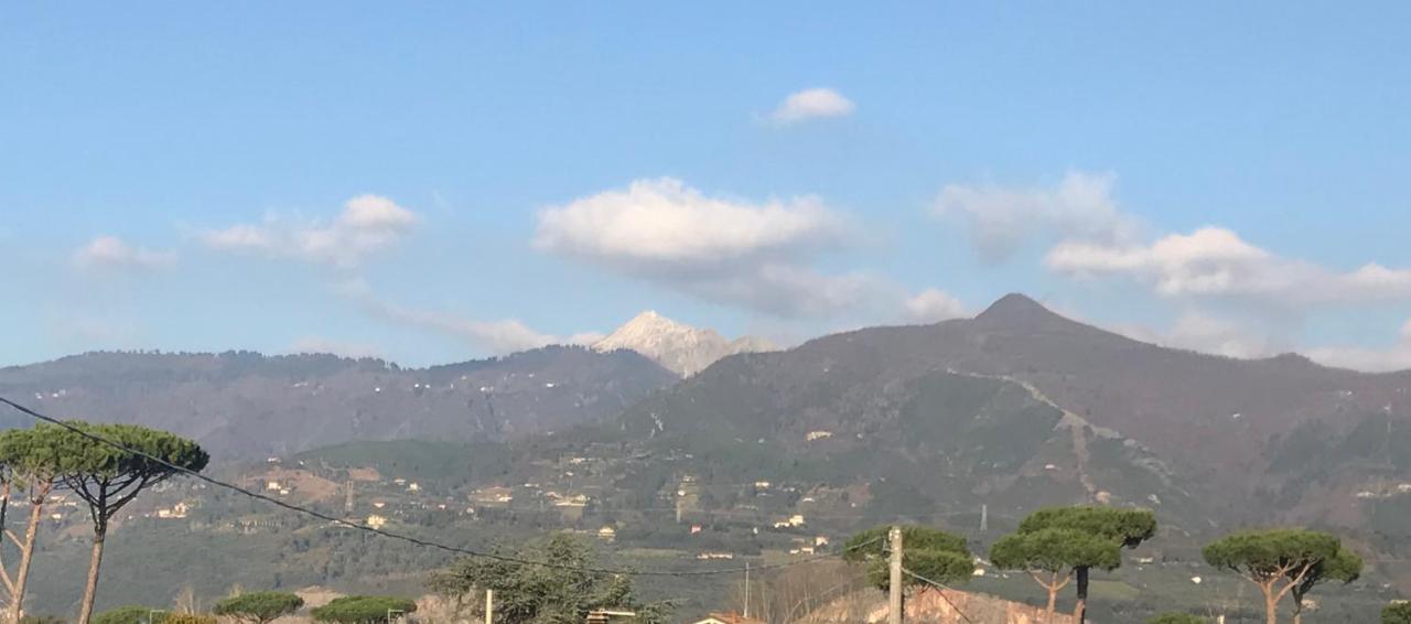 Domus Zoe Apartman Forte dei Marmi Kültér fotó